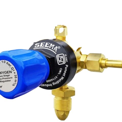 Brass Water Pressure Regulator with Gauge, Adjustable for RV and Camper Water Inlet