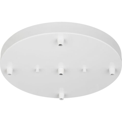 Five Light Multiport Canopy