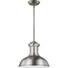 Fredricksburg 13" Pendant