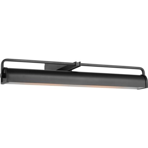 Leonard 25" Picture Light